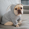 Dog Pet Clothes Spring And Autumn Clothing - Image 1