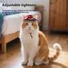Pet Lace Hat Cat Photo Dress Up Hair Accessories - Image 4