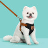 Outing Dog Leash Pet Strap - Image 1