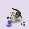 Cat Dog Toy Ball New Fashion Glowing Transparent Plastic Ball Pet Interactive Toy Funny Training Cat GlowBalls Toys Pet Products - Image 1