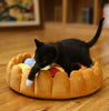 Pet plush cat dog mat kennel cat litter winter warm creative pet mat fruit egg tart bed - Image 6