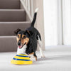 Sounding Disc Woof Glider Soft & Safe Indoor Pet Dogs Play Toy Pets Unique Interacts Entertainment Toys - Image 3
