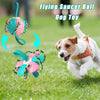 Interactive Dog Football Soccer Ball With Tabs Inflated Training Toy Outdoor Border Collie Balls Pet Products - Image 3