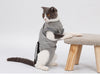 Pet Cat Recovery After Surgery Clothing Pet Wound Anti-mite Sterilization Suit pet products supplies &c - Image 4