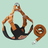 Outing Dog Leash Pet Strap - Image 4