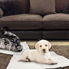 Self Heating Dog Cat Blanket Pet Bed Thermal Washable No Electric Blanket Super Soft Puppy Kitten Blanket Beds Mat - Image 2