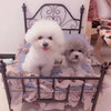 Dog Kennel Cat Kennel Pet Hanger Swing Cradle Full Dog Bed - Image 1