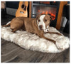 Fluffy Long Plush Warm Pet Blanket - Image 4