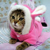 Pet Cat Clothes Mascotas Costume Clothes For Pet Hoodies Cute Rabbit Cat Clothing Puppy Fleece Warm Pet Cat Jacket - Image 2