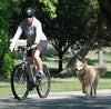 Bicycle Dog Walking Hand Holding Rope Pet - Image 6