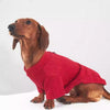 Stretch Base Layer For Dogs And Cats In Autumn And Winter - Image 6