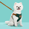Outing Dog Leash Pet Strap - Image 8