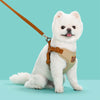 Outing Dog Leash Pet Strap - Image 9