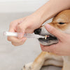 Pet Teeth Repairing Kit For Dog Cat Teeth Cleaning Pen Kit - Image 3
