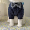 Warm And Cute Clothes For Pets Feet - Image 4