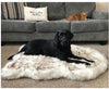 Fluffy Long Plush Warm Pet Blanket - Image 1