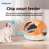 Pet Anti-grab Food Chip Identification Multi-cat Automatic Pet Feeder - Image 1