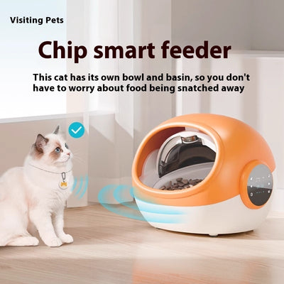 Pet Anti-grab Food Chip Identification Multi-cat Automatic Pet Feeder