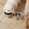 Acrylic Dogs And Cats Pet Feeder Small Cat Dog Feeding Rack - Image 1
