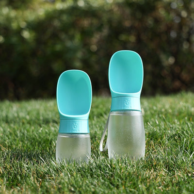 Pet Portable Cup Outdoor Water Feeding Light Type Kettle