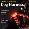 Night Dog Walking Vest LED Explosion-proof Dog's Straps - Image 1