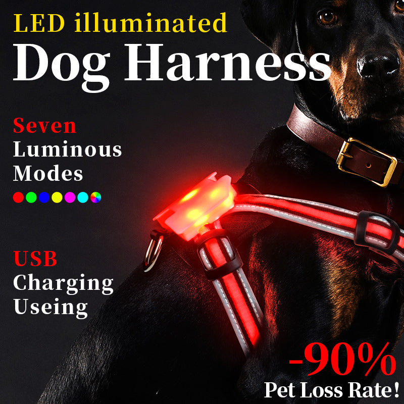 Night Dog Walking Vest LED Explosion-proof Dog's Straps