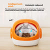 Pet Anti-grab Food Chip Identification Multi-cat Automatic Pet Feeder - Image 4