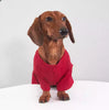 Stretch Base Layer For Dogs And Cats In Autumn And Winter - Image 2