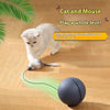 Cat Toys Mouse Teaser Ball Funny Moving Toy For Pets Cat Dog Electric Teaser Ball Automatic Intelligent Rolling Ball Pet Products - Image 2