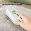 3-in-1 Steam Pet Brush - Image 2