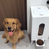 Wooden Pet Feeder Large Capacity - Image 3