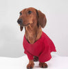 Stretch Base Layer For Dogs And Cats In Autumn And Winter - Image 4